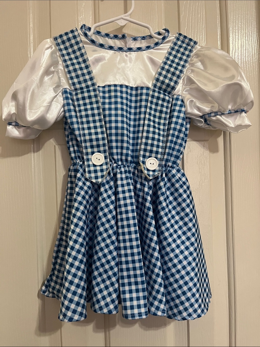 Dorothy Costume Blue Gingham Pinafore Dress with White Puff Sleeves - 3T